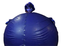 Blueberry Aunt Cass