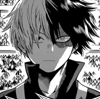 Shoto Todoroki