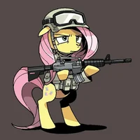 CommanderFluttershy 