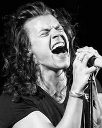 Harry Styles