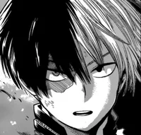Shoto Todoroki 