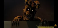 Springbonnie - JE