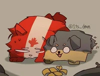 Канада и Украина 