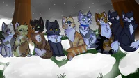Warrior cats RP