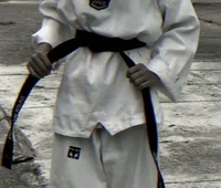 Taekwondista