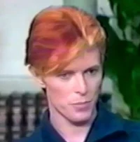 David Bowie
