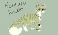 Rantaro leopard 