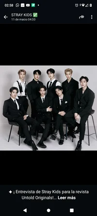 Stray kids mafia