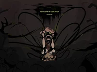 Life under the mirro