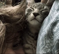 PERCY JACKSON - SHOW