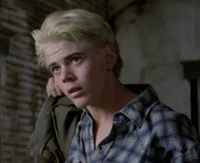 Ponyboy Curtis 