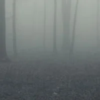 The fog