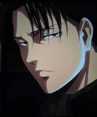 Levi