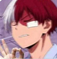 Roommate - Todoroki