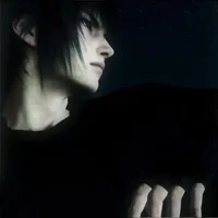 Noctis Lucis caelum 