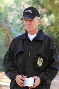 Leroy Jethro Gibbs