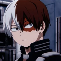 Shoto Todoroki 