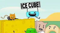 Team Ice Cube BFB