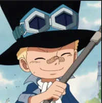 Childhood sabo
