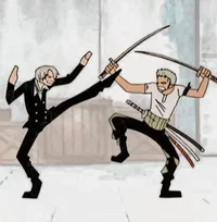 Zoro and sanji