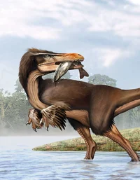 Austroraptor