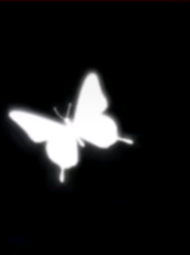 Stone - skippingston