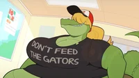 Very fat gator