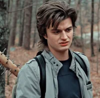 Steve Harrington