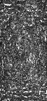 Eldritch Abomination