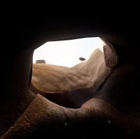 Inside Talas Shoe