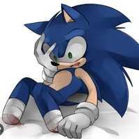 Sonic the hedgehog