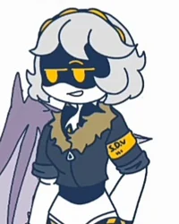 Serial Designation V