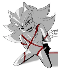 Shadow T HEDGEHOG 