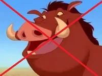 Hakuna Matata Sucks