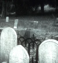 POLY- Monster school