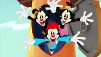 Animaniacs 