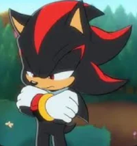 Shadow The Hedgehog 