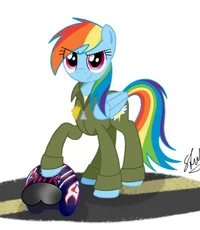 Pilot Rainbow Dash