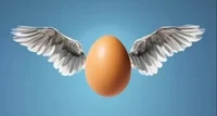 Egg angel