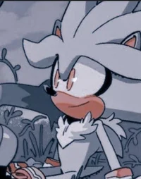 - Silver T Hedgehog 