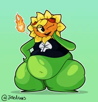 Destello Solar gorda