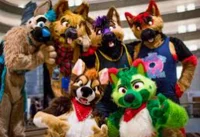 Furry-con trouble