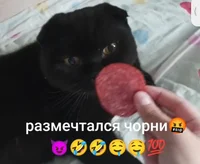 Размечтался чорни