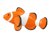 Clownfish
