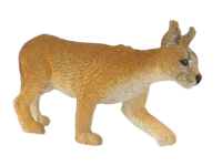 Caracal