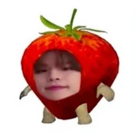 seungberry