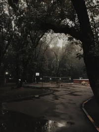 Лагерь Запад