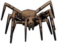 Bunker Spider