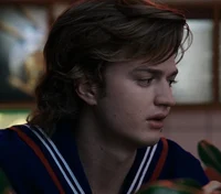 steve harrington 