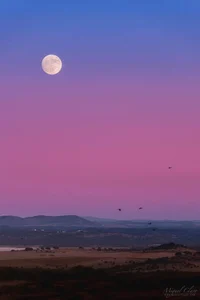 Sky Pink For Moon